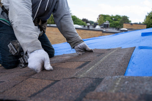 Best Residential Roof Replacement  in Sand Ridge, NY
